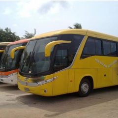 young-shall-grow-bus-1265