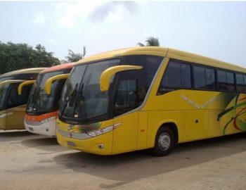 young-shall-grow-bus-1265